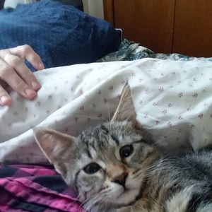 Meet your Posher, Cathy